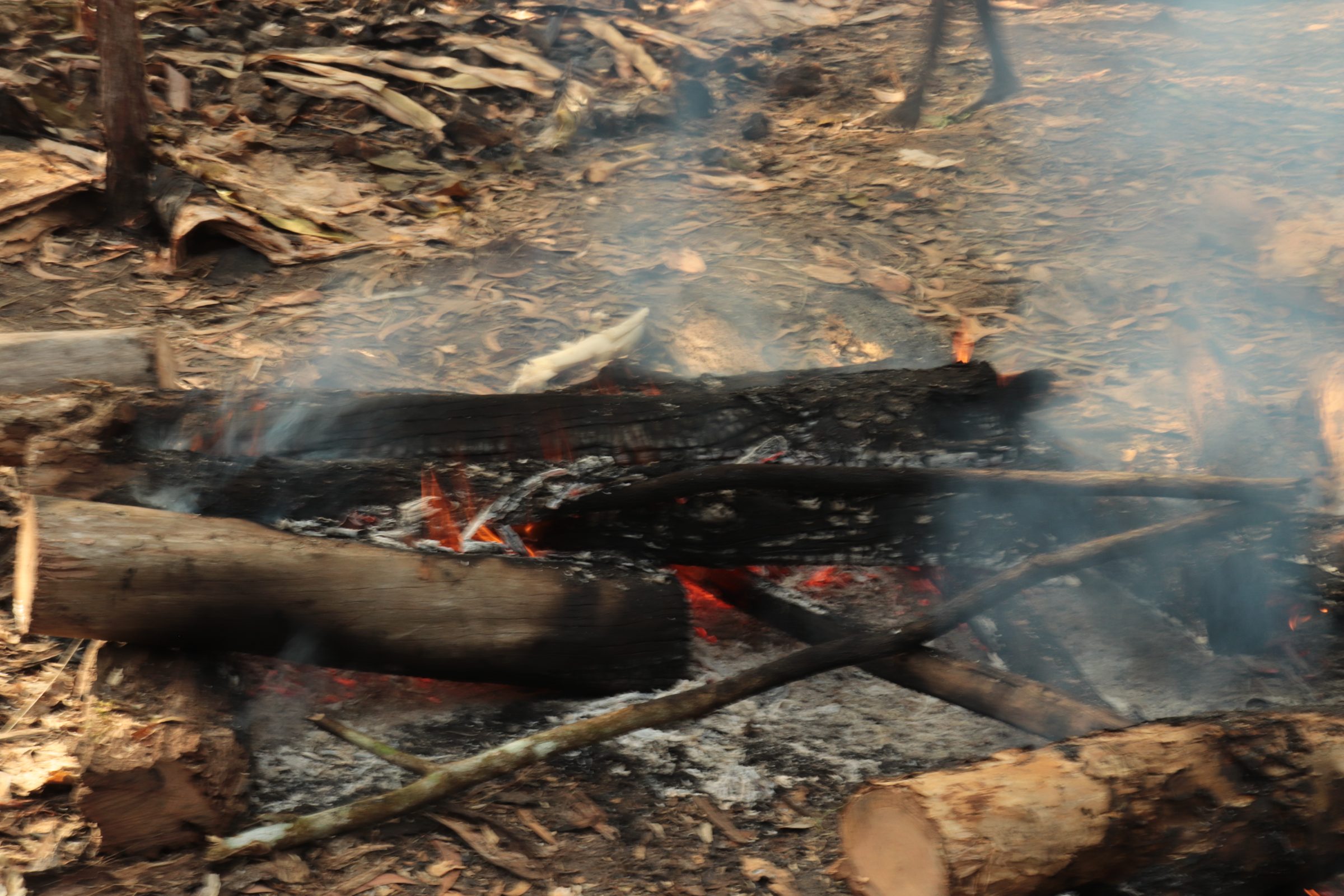 Bara api dalam proses bakar batu, cara memasak sekaligus penanda berlangsungnya acara adat.